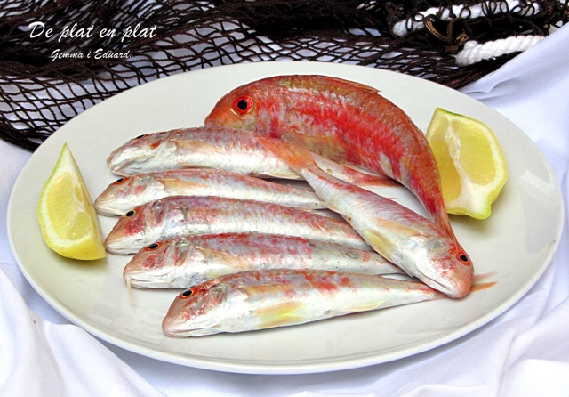 Molls (Rogers) Fregits